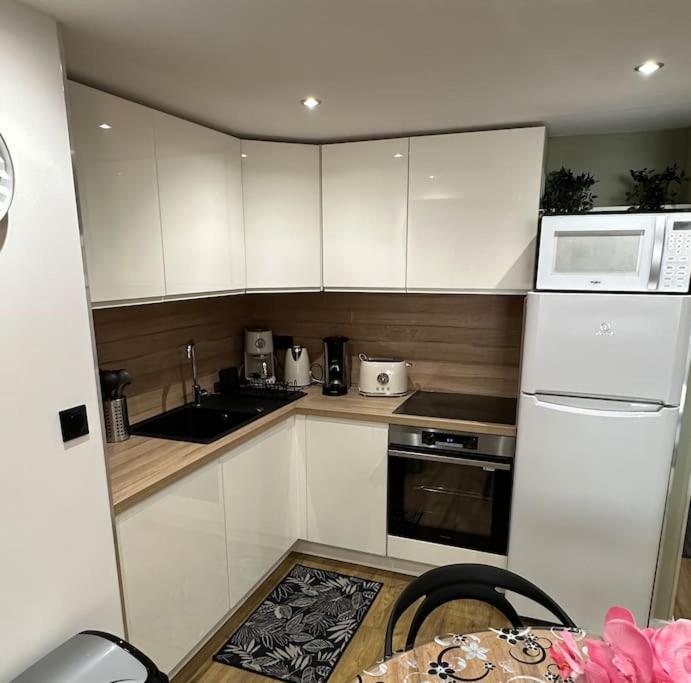 Le Briand Appartement 4Etoiles Nancy Thermal Cosy Avec Terrasse Wifi Exterior photo